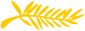 la Palme d'Or