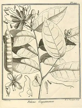 Description de cette image, également commentée ci-après