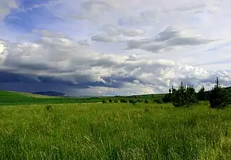 Description de cette image, également commentée ci-après