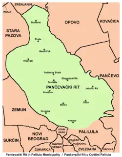 Image illustrative de l’article Pančevački rit