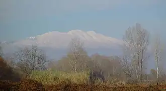 Rangée d'arbres dénudés et en arrière-plan, crête de montagne enneigée