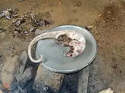 Cuisson du pangolin.