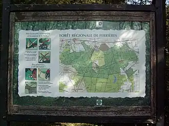 Image illustrative de l’article Forêt de Ferrières