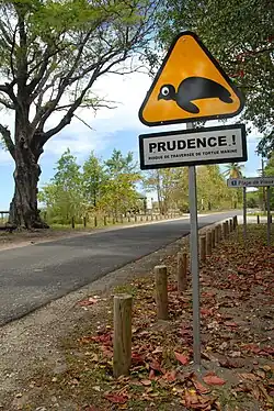 Panneau triangulaire représentant une tortue stylisée sur fond orange.