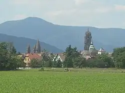 Photographie de Sélestat depuis le Ried.