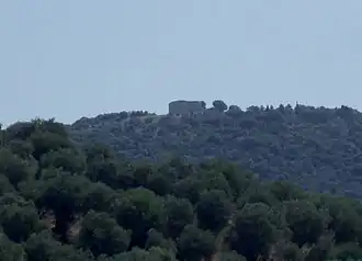 Image illustrative de l’article Tino di Moscona