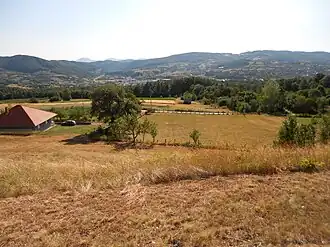 Grabovica (Gornji Milanovac)