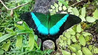 Description de cette image, également commentée ci-après