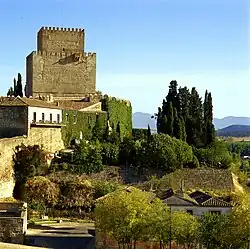 Château d'Henri II de Castille