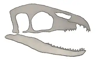 Description de cette image, également commentée ci-après