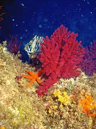 Description de cette image, également commentée ci-après