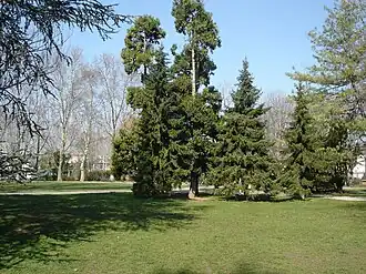 Image illustrative de l’article Parc Bazin