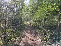 Sentier au parc Cœur Nature