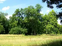 La prairie Arcadienne, partie nord.