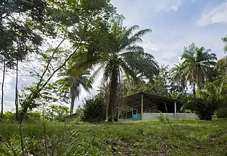 Une Vue intérieure du parc