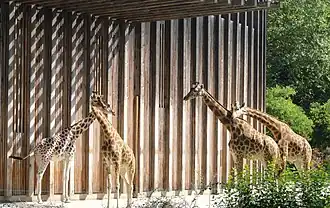 Image illustrative de l’article Jardin zoologique de Lyon