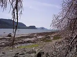 La baie du Ha! Ha! à marée basse