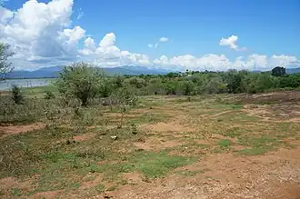 Dans le parc national de Uda Walawe au Sri Lanka
