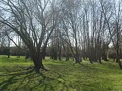 Parc rue du Monnoury à Fontenay-Trésigny.