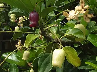 Description de cette image, également commentée ci-après