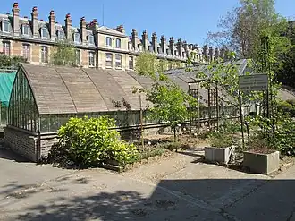 No&nbsp;63, jardin botanique de cette faculté.