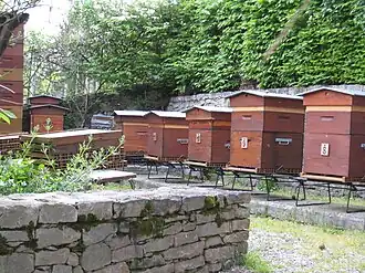 Les ruches du parc.