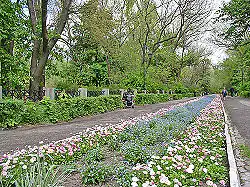 Parc public à Nova Kakhovka.