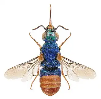 Description de cette image, également commentée ci-après