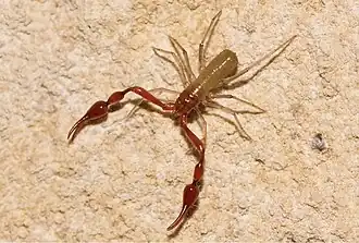 Description de cette image, également commentée ci-après