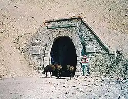 Image illustrative de l’article Col du Parpaillon