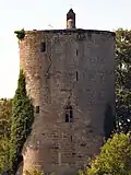 Tour médiévale