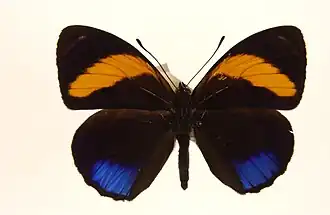 Description de cette image, également commentée ci-après