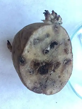 Description de cette image, également commentée ci-après