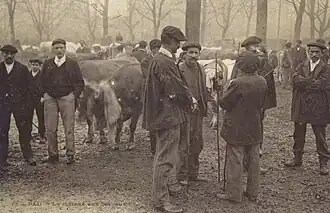 Photographie en noir et blanc d'hommes discutant.