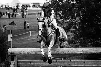 L'Australien Paul Tapner sur Kilronan.
