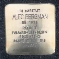 Stolpersteine Alec Bergman - Liège, 4 novembre 2015 Enfant caché à Izieu, rescapé