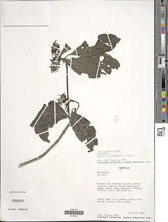 Description de cette image, également commentée ci-après