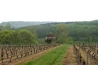 Image illustrative de l’article Saône-et-loire (IGP)