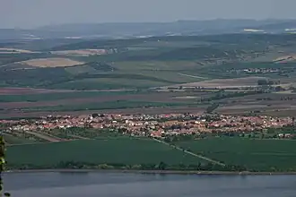 Šakvice
