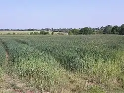 Photographie montrant des champs montant en coteau jusqu'au bourg.