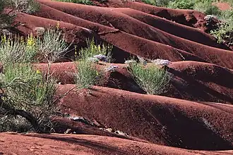 Image illustrative de l’article Rougier de Camarès