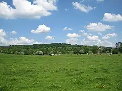 Paysage typique en été.