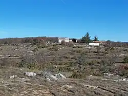 Faciès karstique avec lapiaz au Revest.