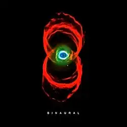 Description de l'image Pearljam-binaural.jpg.