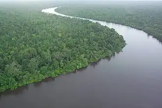Kalimantan.