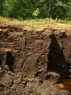 Front de taille d'une fosse de tourbage.