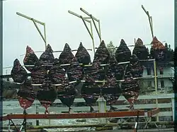 Peaux de ouananiche (Laroche, 1987)