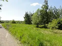 Le terril no&nbsp;254.