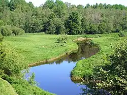 Pedja jõgi à Altmetsa.