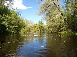 La Pedja en aval du barrage de Painküla